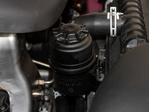 20209 2.0T (q)A͘(bio)S  