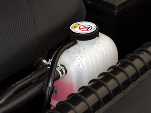 20209 2.0T (q)A͘(bio)S  