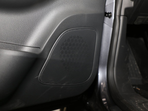 20209 2.0T (q)ALS  g