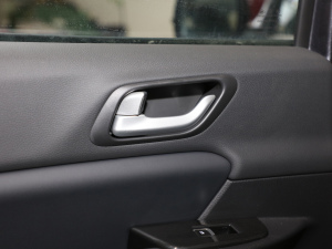 20209 2.0T (q)ALS  g