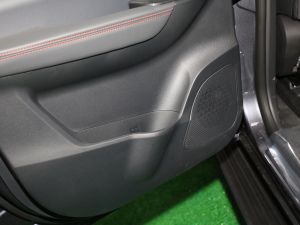 20209 2.0T (q)ALS  g