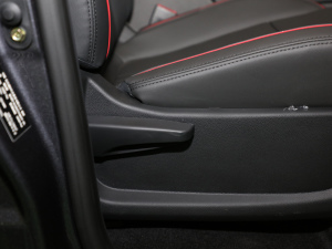 20209 2.0T (q)ALS  g