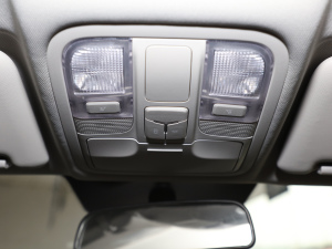 20209 2.0T (q)ALS  g