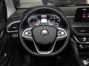 20209 2.0T (q)ALS  P