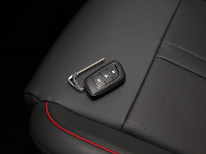 20209 2.0T (q)AL(zhng)S  