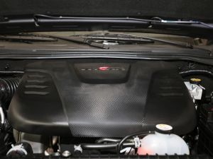 20209 2.0T (q)AL(zhng)S  