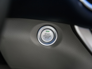 20212.0T Ԅ(dng)(q)e (bio)  п؅^(q)