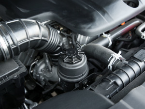 2021款2.0T 自动四驱运动尊享型 标箱 汽油 其它