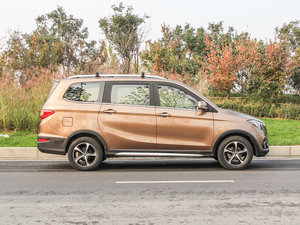20161.5L ֶG20 