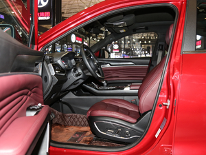 2019280TGDI CVT ǰſg