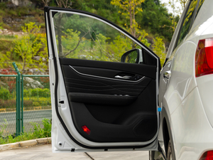 2020款Pro 280TGDI CVT驭领型 驾驶位车门