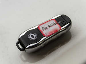 2020Pro 280TGDI CVTSI(lng) 