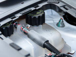 2020Pro 280TGDI CVTSI(lng) 