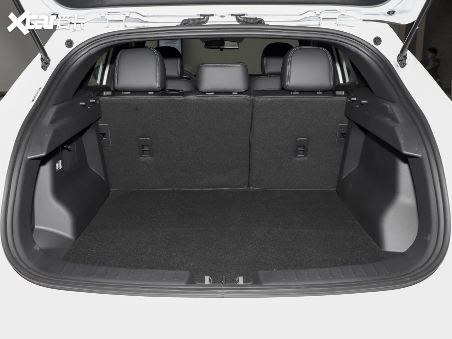 2021Lix5 1.5T քӶл