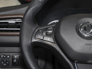 2021Ŀ 1.5T քӶ п؅^