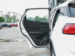 2022款1.5L 手动悦享型 左后车门