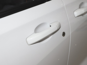 20221.5L mͿ܇(䓰受) 5 {T