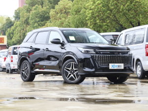 20231.5L DE-i 100KM 5 ǰ45