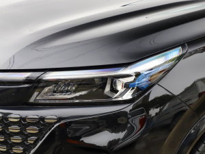 20231.5L DE-i 100KM 5 