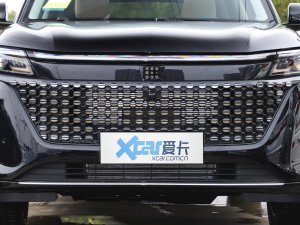 20231.5L DE-i 100KM 5 оW(wng)