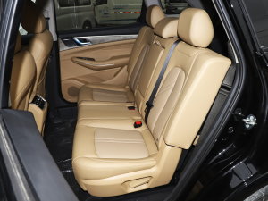 20231.5L DE-i 100KM 5 