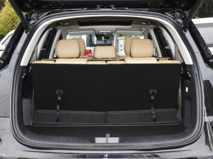 20231.5L DE-i 100KM 5 g