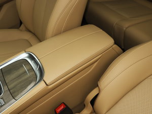 20231.5L DE-i 100KM 5 