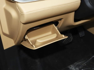 20231.5L DE-i 100KM 5 g