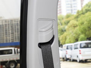 20231.5L DE-i 100KM 5 g