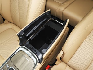 20231.5L DE-i 100KM 5 g