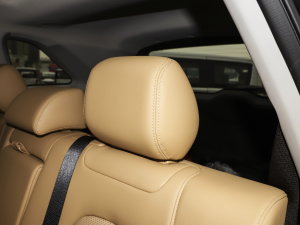 20231.5L DE-i 100KM 5 g