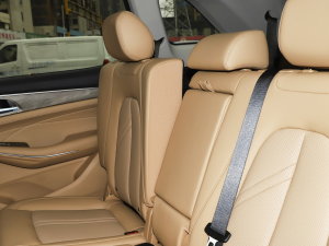 20231.5L DE-i 100KM 5 g