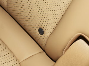 20231.5L DE-i 100KM 5 g