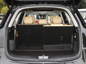 20231.5L DE-i 100KM 5 g