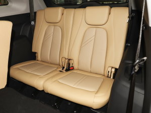 20231.5L DE-i 100KM 5 g