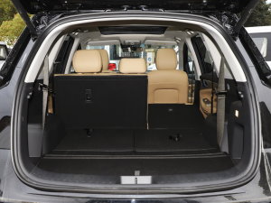 20231.5L DE-i 100KM 5 g