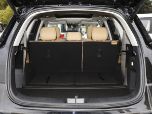 20231.5L DE-i 100KM 5 g