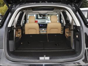 20231.5L DE-i 100KM 5 g