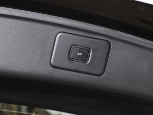 20231.5L DE-i 100KM 5 g