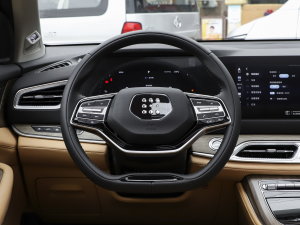 20231.5L DE-i 100KM 5 P