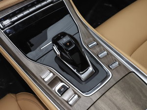 20231.5L DE-i 100KM 5 QU