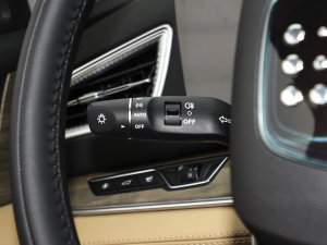 20231.5L DE-i 100KM 5 п؅^