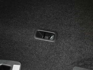 20192.0T @SH-AWD V g