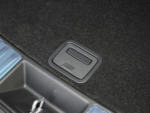 20192.0T @SH-AWD V g