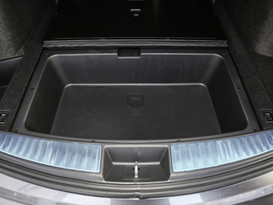 20192.0T @SH-AWD V g