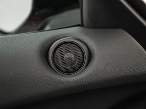 20211.5T A-Spec\ӿ g