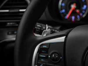 20211.5T A-Spec\ӿ п؅^