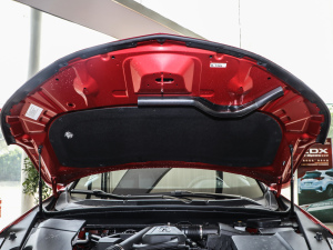 2021款1.5T 两驱尊享·A-Spec智能安全运动款 其它