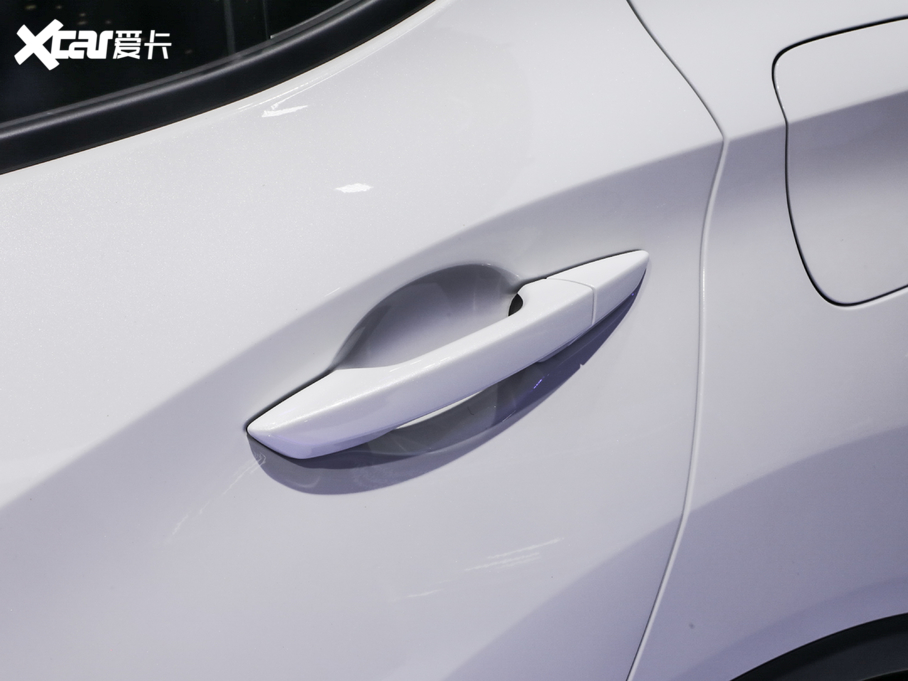 2021��֎��CDX 2.0L ����|����