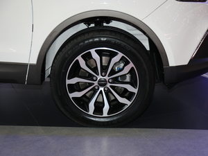 2019款1.5T CVT驾适版 细节外观